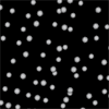 point-cloud-mesh
